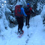 durch den verschneiten Wald geht's aufwärts