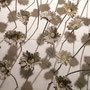 Marta Colombo, Alphabets in blossom, Installation 2011