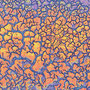 Sand cracks, Kunstdruck auf Leinwand, 70 x 100 cm      © 2019