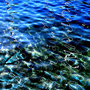 Water, Kunstdruck auf Leinwand, 70 x 100 cm                               © 2024