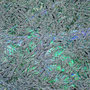 Ice Cristals I, Kunstdruck auf Leinwand, 70 x 100 cm     © 2019