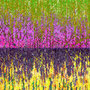 Watergrass, Kunstdruck auf PVC, 60 x 120 cm                          © 2019