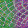 Wire Mesh, Kunstdruck auf Leinwand, 70 x 100 cm        © 2018