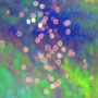 Dancing Moscitos, Kunstdruck auf Leinwand                              100 x 70 cm  © 2020