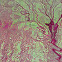 Reflections Pink Green, Kunstdruck auf Leinwand,                       70 x 100 cm   © 2005