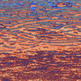Twirls, Kunstdruck auf PVC, 60 x 120 cm  © 2020