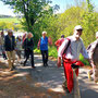29.04.2026 Riedelbach-Rod an der Weil - P1: Am Beginn der Wanderung in einem Bogen mit Überquerung der B275 nach Riedelbach.