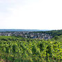 06.08.2025 Kiedrich (Stassen) Rundwanderweg - P1: Blick über den Weinberg der Ehe auf Kiedrich und die Burg Scharfenstein.