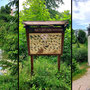 25.06.2025 Bad Schwalbach - Rundweg Kurpark - P1: Vorbei am Kurweiher und dem kleinen Pavillon.