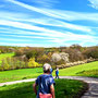 15.04.2026 Wallrabenstein - Graf Walram Rundweg - P2: Auf dem Weg hinunter in das Wörsbachtal.