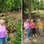 18.06.2025 Rundweg Oberauroff-Ehrenbach-Oberauroff - P2: Vor Feldern mit giftigem Fingerhut.