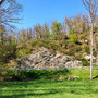 29.04.2026 Riedelbach-Rod an der Weil - P1: Blick auf Felswände an der Weilstraße.