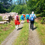 30.07.2025 Rundweg Riedelbach - P1: Auf der Querverbindung durch den Wald zum Camberger Weg.