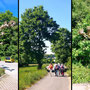 14.05.2025 Burgschwalbach-Hahnstätten - P1: Vom Parkplatz in Zollhaus führt der Fahrradweg entlang der Aar nach Hahnstätten..