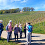 08.04.2026 Schloss Wi-Freudenberg-Frauenstein - P1: Blick über einen Weinberg hinauf zum Goethestein.