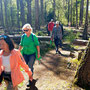 22.04.2026 Rundweg Siedlung Wildpark (über Hohe Kanzel) - P1: Viele umgestürzte Bäume blockierten den Weg, der aber freigeschnitten wurde.