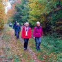 22.10.2025 Buchfinkenland-Rundwanderweg Nieder-Oberrod - P1: Wir haben vorübergehend den Buchfinkenland-Rundwanderweg verlassen und wandern auf einem Waldweg in Richtung der K717.
