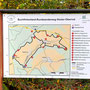22.10.2025 Buchfinkenland-Rundwanderweg Nieder-Oberrod - P1: Eine Info-Tafel auf dem Wanderparkplatz an der K717 vor Niederrod.
