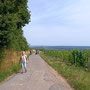 06.08.2025 Kiedrich (Stassen) Rundwanderweg - P2: Auf dem Rheingauer Rieslingspfad durch die Weinberge.