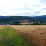 23.07.2025 Escher Kopf-Walsdorf - P1: Blick über Getreidefelder auf Esch und den Feldberg.
