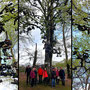 17.04.2024 Rundweg Siedlung Wildpark über Hohe Kanzel - P1: Gruppenfoto unter dem Schuhbaum, ...