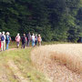 23.07.2025 Escher Kopf-Walsdorf - P1: Am Waldrand entlang in Richtung Walsdorf.
