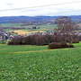 08.01.2025 Würges-Bad Camberg vorbei "Am Waldschloss" - P2: Blick zurück auf Würges.