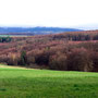 Blick über das Kilbachtal auf Grashütten (im Hintergrund).