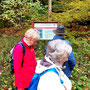 22.10.2025 Buchfinkenland-Rundwanderweg Nieder-Oberrod - P1: An einer Info-Tafel zum Buchfinkenland-Rundwanderweg.