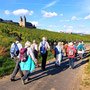 01.10.2025 Niederwalddenkmal-Rüdesheim - P1: Unterhalb des Klosters Hildegardis vorbei.