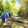 22.04.2026 Rundweg Siedlung Wildpark (über Hohe Kanzel) - P2: Wir verlassen die Hohe Kanzel.