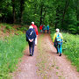 07.05.2025 Rundweg Esch - P1: Das Harbachtal hinauf zur B8 zwischen Esch und Glashütten.