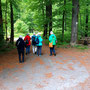 07.05.2025 Rundweg Esch - P1: Wir haben die B8 überquert und wandern durch den Wald hinunter nach Esch.