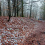 15.01.2025 Rundweg Zugmantel bei Orlen - P1: Auf dem Weg entlang des Limes (links) zum Kastell Zugmantel.