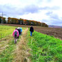 22.10.2025 Buchfinkenland-Rundwanderweg Oberrod - P2: Auf einem Wiesenweg gelangen wir vom Parkplatz auf den Buchfinkenland-Rundwanderweg unmittelbar vor der B8.