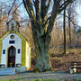 18.03.2026 K514 hinter Dombach-Eichelbacher Hof-Vogelburg-Hasselbach - P1: Die Marienkapelle.
