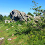 11.06.2025 Rundweg Großer und Kleiner Feldberg - P1: Die Seitenansicht des Brunhildisfelsens.
