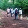18.06.2025 Rundweg Oberauroff-Ehrenbach-Niederauroff-Oberauroff - P1: Ein letzter kleiner Anstieg, bevor es hinunter nach Niederauroff geht.