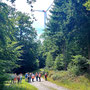 30.07.2025 Rundweg Riedelbach - P1: Kurze Pause an der Abzweigung zur Rennstraße mit Blick auf ein Windrad des Windparks Weilrod.