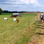 20.08.2025 Runde Mensfelder Kopf - Rotes Meer - P1: Vorbei an einer Gruppe Ziegen zum Roten Meer.