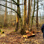 26.02.2025 Rundweg Heftricher Moor - P1/P2: Ziemliches Durcheinander am Weg zum Angelteich des ASV Eppstein.