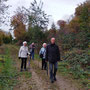 22.10.2025 Rundwanderweg Ober-Niederrod - P3: Auf dem Buchfinkenland-Rundwanderweg oberhalb von Oberrod.