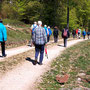 22.04.2026 Rundweg Siedlung Wildpark (über Hohe Kanzel) - P1: Kurz vor der Abzweigung zum Schuhbaum.