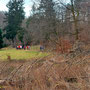 29.01.2025 Rundweg Parkplatz Eisersbach B417 - P1: Vorbei an einem Mammutbaum in Richtung Hühnergrund.
