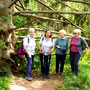 21.05.2025 Rundweg Theißtal - P2: Gruppenfoto an einem "Kletterbaum" , mit Wanderführerin Ingrid ...