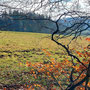 26.02.2025 Rundweg Heftricher Moor - P1: Die Schloßborner Alm, immer noch ohne Hütte, Bratwurst und Bier.