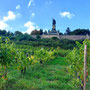 01.10.2025 Niederwalddenkmal-Rüdesheim - P1: Blick zurück auf das Niederwalddenkmal.