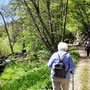 29.04.2026 Rod an der Weil - Ziegelhütte-Aphrodite - P3: Auf dem Taunus-Schinderhannespfad entlang der Weil nach Rod an der Weil.
