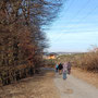 19.02.25 Rundweg Cunoweg (über Waldhof) - P2: Auf dem Weg von Niederseelbach in Richtung Wörsbachtal, der Limesturm im Hintergrund.