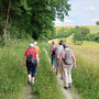 18.06.2025 Rundweg Oberauroff-Ehrenbach-Oberauroff - P2: Auf dem Rückweg nach Oberauroff.